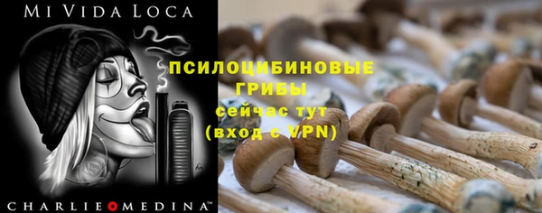 гашиш Новодвинск