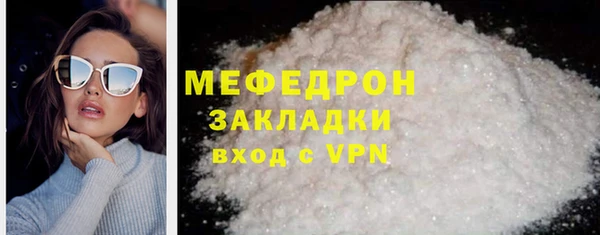 индика Новозыбков