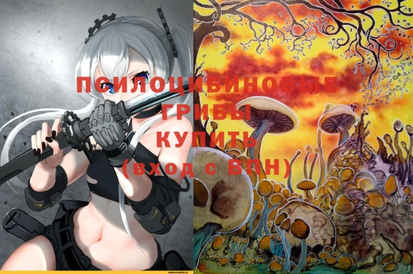 меф Нягань