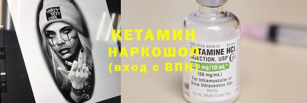 индика Новозыбков