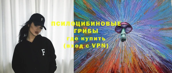 спиды Няндома