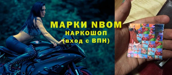индика Новозыбков