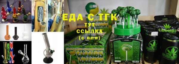 индика Новозыбков