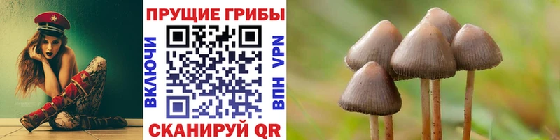 Псилоцибиновые грибы Magic Shrooms  Агидель 